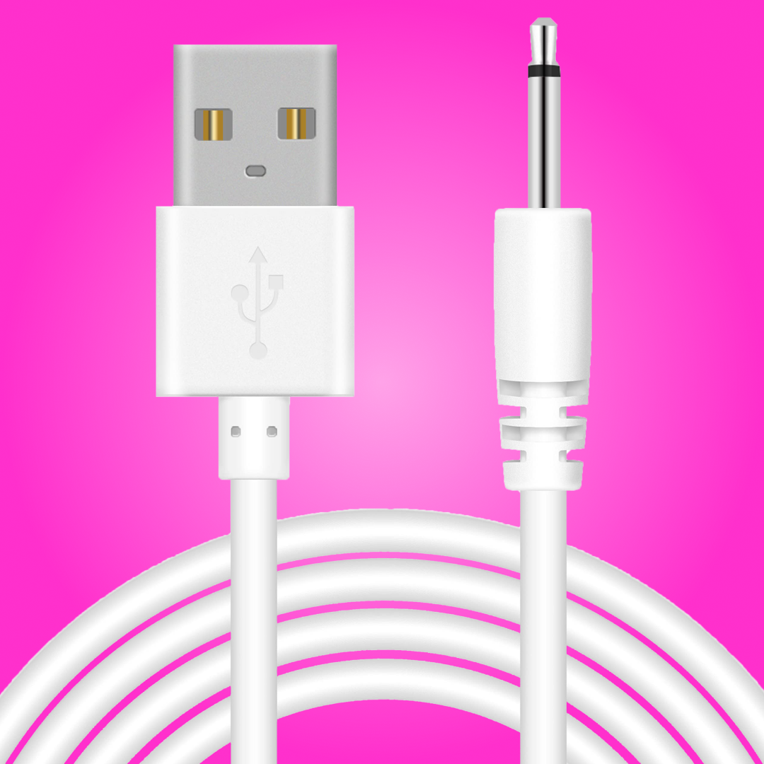 Lolly and Lem Pin Charging Cable
