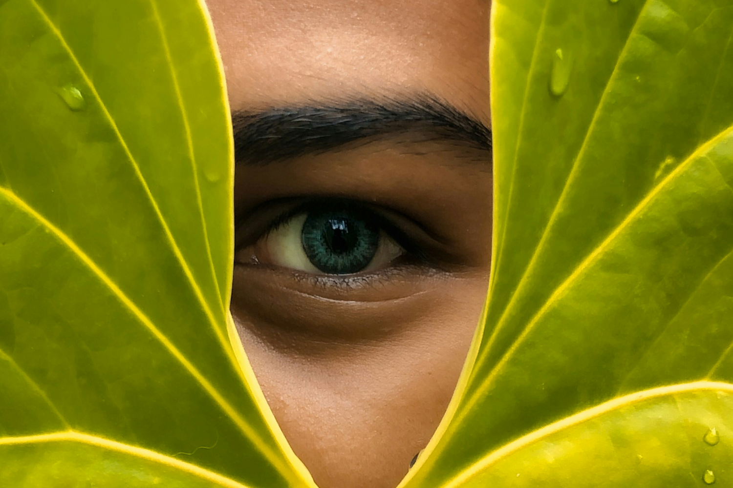 Sensate Focus: Rediscovering Touch Without Performance Pressure